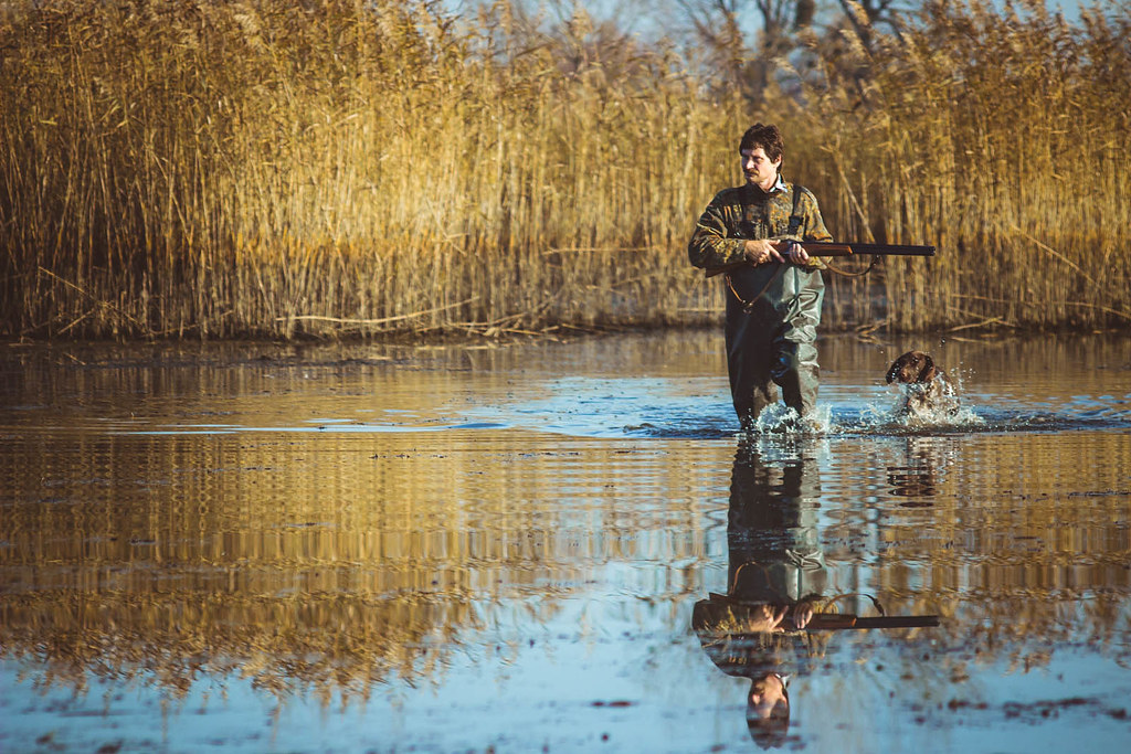 The Best Choke for Duck Hunting Features & Top