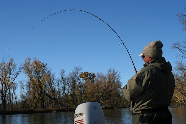 Steelhead Rod Size & Weight