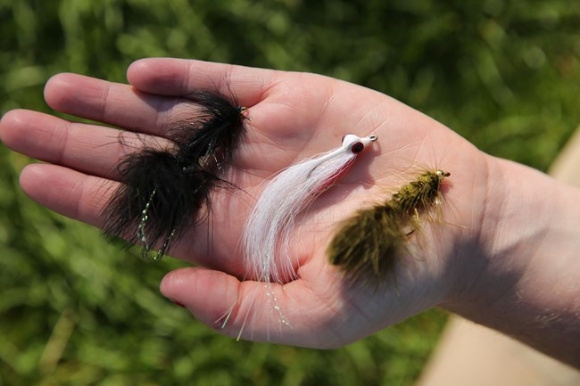 lures in hand